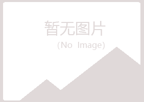 鹤岗兴山代云化学有限公司